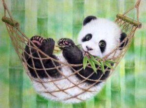 Broderie Diamant Bébé Panda dans son Hamac