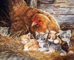 Broderie Diamant Chatons et Poule