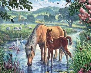 Broderie Diamant Chevaux et Ruisseau