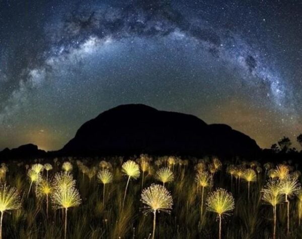 Broderie Diamant Lumières dans la Nuit