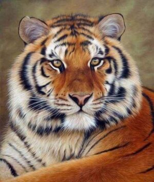 Broderie Diamant Regard de Tigre