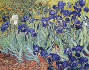 Broderie Diamant Les Iris de Van Gogh