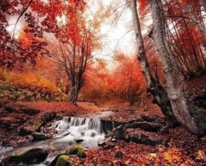 Broderie Diamant Cours d'eau en Automne