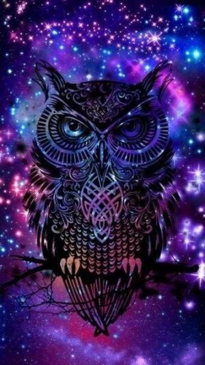 Broderie Diamant Hibou dans la Nuit