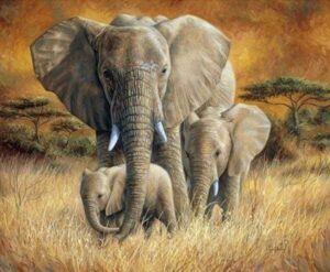 Broderie Diamant La Famille Eléphants