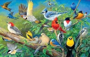 Broderie Diamant Oiseaux Tropicaux